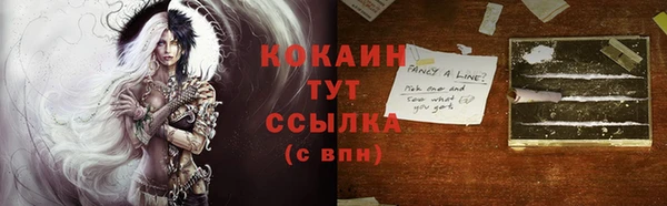 сатива Армянск